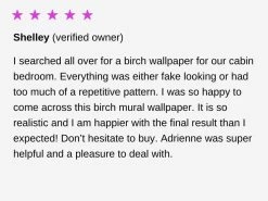 Birch Forest Wallpaper -Wallpaper Mural Shop 2021 May 2 Shelley Review Birch Tree Forest Black and White Wallpaper About Murals