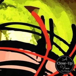 Abstract Face Wallpaper 6 Abstract Face Wallpaper -Wallpaper Mural Shop Abstract Face Wallpaper Close up About Murals