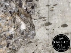 Aged Concrete Wallpaper 8 Aged Concrete Wallpaper -Wallpaper Mural Shop Aged Concrete Wallpaper Close up About Murals