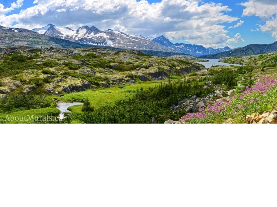 Alaskan Mountains Wallpaper 2 Alaskan Mountains Wallpaper - Image 2