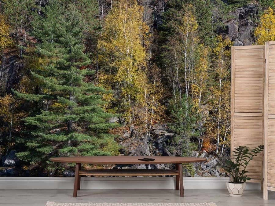 Algonquin Park Wallpaper 1 Algonquin Park Wallpaper