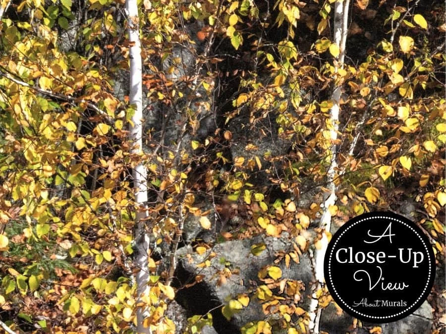 Algonquin Park Wallpaper 3 Algonquin Park Wallpaper - Image 3