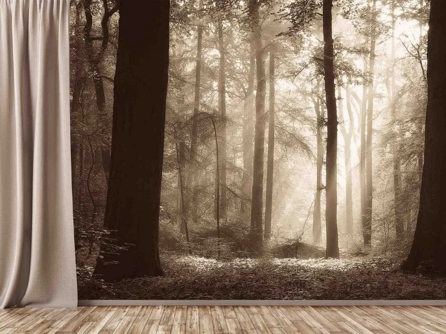 Ancient Forest Wallpaper 1 Ancient Forest Wallpaper