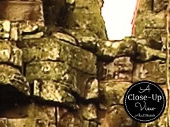 Angkor Thom Wallpaper 6 Angkor Thom Wallpaper -Wallpaper Mural Shop Angkor Wat Wallpaper Close up About Murals