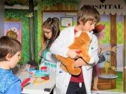 Animal Hospital Wall Mural 11 Animal Hospital Wall Mural -Wallpaper Mural Shop Animal Hospital Wall Mural Playville 1 min