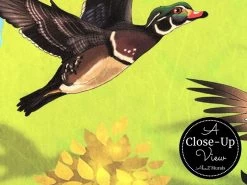 Animal Map Wallpaper Of Canada 6 Animal Map Wallpaper Of Canada -Wallpaper Mural Shop Animal Map Wallpaper of Canada Close up About Murals