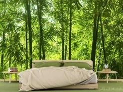Asian Bamboo Forest Wall Mural