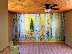 Aspen Forest Wallpaper 8 Aspen Forest Wallpaper -Wallpaper Mural Shop Aspen Forest Elk Mountains Wall Mural Lori Bennett 3 Copy