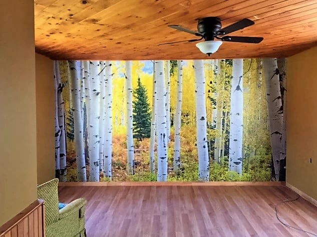 Aspen Forest Wallpaper 3 Aspen Forest Wallpaper - Image 3