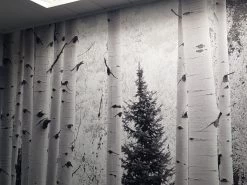 Aspen Wallpaper 9 Aspen Wallpaper -Wallpaper Mural Shop Aspen Wallpaper Room About Murals