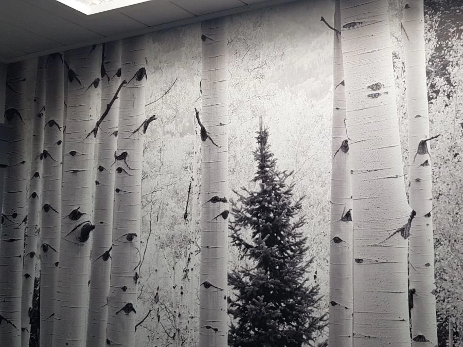 Aspen Wallpaper 5 Aspen Wallpaper - Image 5