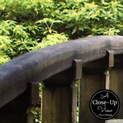 Autumn Bridge Wallpaper 6 Autumn Bridge Wallpaper -Wallpaper Mural Shop Autumn Bridge Wallpaper Close up About Murals