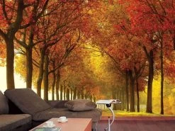 Autumn Colors Wall Mural