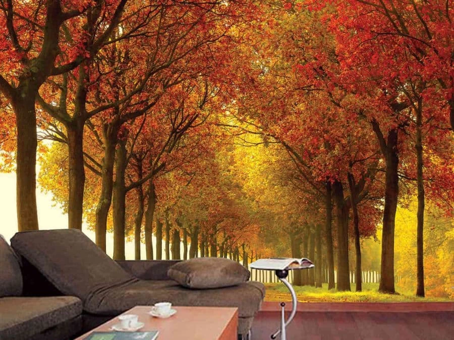 Autumn Colors Wall Mural 1 Autumn Colors Wall Mural