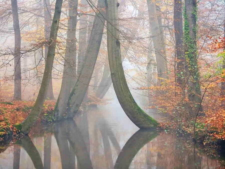 Autumn River Wallpaper 2 Autumn River Wallpaper - Image 2