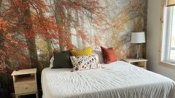 Autumn Season Wallpaper -Wallpaper Mural Shop Autumn Season Wallpaper Orange Bedroom About Murals