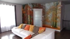 Autumn Season Wallpaper -Wallpaper Mural Shop Autumn Season Wallpaper Orange Living Room About Murals