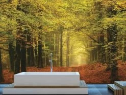 Autumn Trail Wallpaper