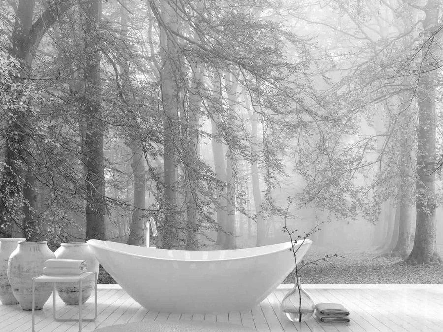 Autumn Is Here Black And White Wall Mural 1 Autumn Is Here Black And White Wall Mural