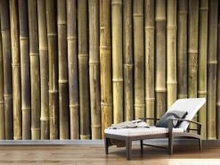 Bamboo Stick Wallpaper