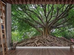 Banyan Tree Wallpaper