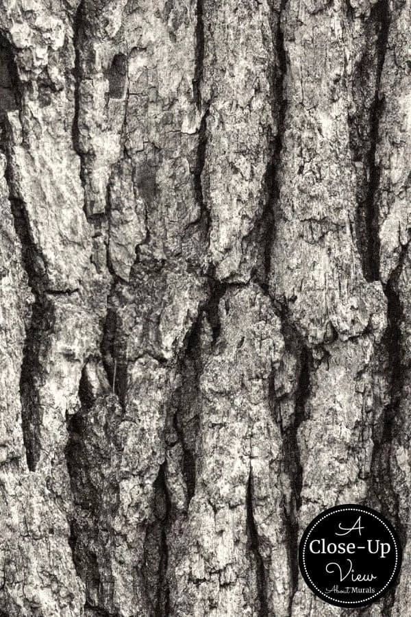 Bark Wallpaper 3 Bark Wallpaper - Image 3