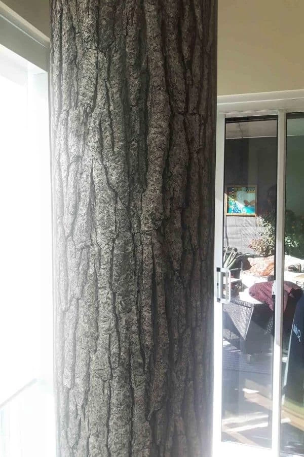 Bark Wallpaper 2 Bark Wallpaper - Image 2