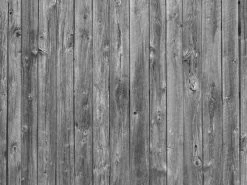Barn Wood Wall Mural Black And White 13 Barn Wood Wall Mural Black And White -Wallpaper Mural Shop Barn Wood Wall Mural Black and White About Murals