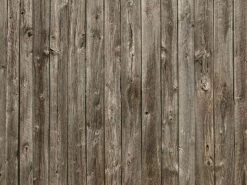 Barn Wood Wallpaper 9 Barn Wood Wallpaper -Wallpaper Mural Shop Barn Wood Wallpaper About Murals