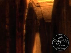 Barrel Wallpaper 6 Barrel Wallpaper -Wallpaper Mural Shop Barrel Wallpaper Close up About Murals