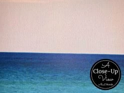 Beach Scene Wallpaper 6 Beach Scene Wallpaper -Wallpaper Mural Shop Beach Scene Wallpaper Close up About Murals