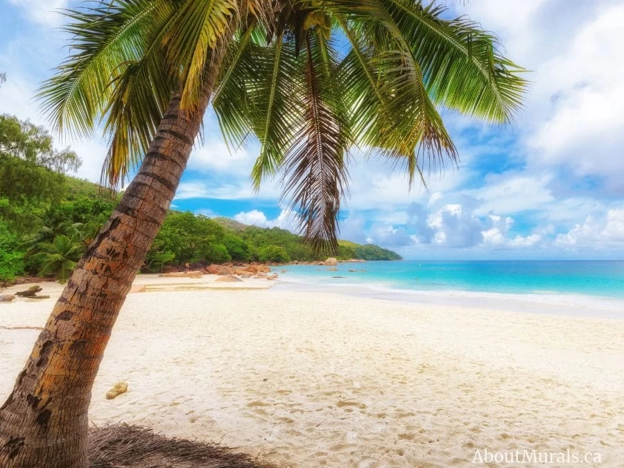 Beach Wall Mural 1 Beach Wall Mural