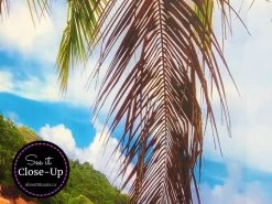 Beach Wall Mural 8 Beach Wall Mural -Wallpaper Mural Shop Beach Wall Mural Closeup 1 min