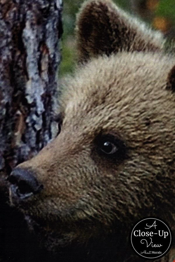 Bear Wallpaper 3 Bear Wallpaper - Image 3