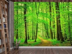 Beech Tree Wallpaper
