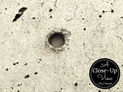 Beige Concrete Wallpaper 6 Beige Concrete Wallpaper -Wallpaper Mural Shop Beige Concrete Wallpaper Close up About Murals