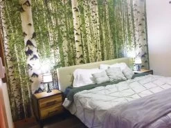 Birch Tree Forest Wall Mural -Wallpaper Mural Shop Birch Tree Forest Christin Tombolini 3 large