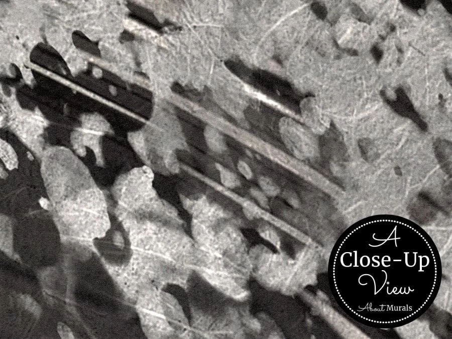 Black Fish Wallpaper 3 Black Fish Wallpaper - Image 3