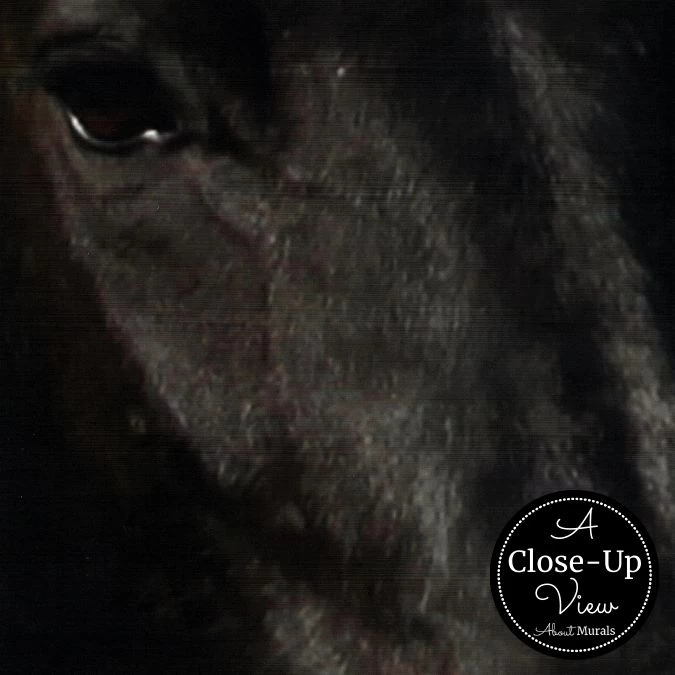 Black Horse Wallpaper 3 Black Horse Wallpaper - Image 3