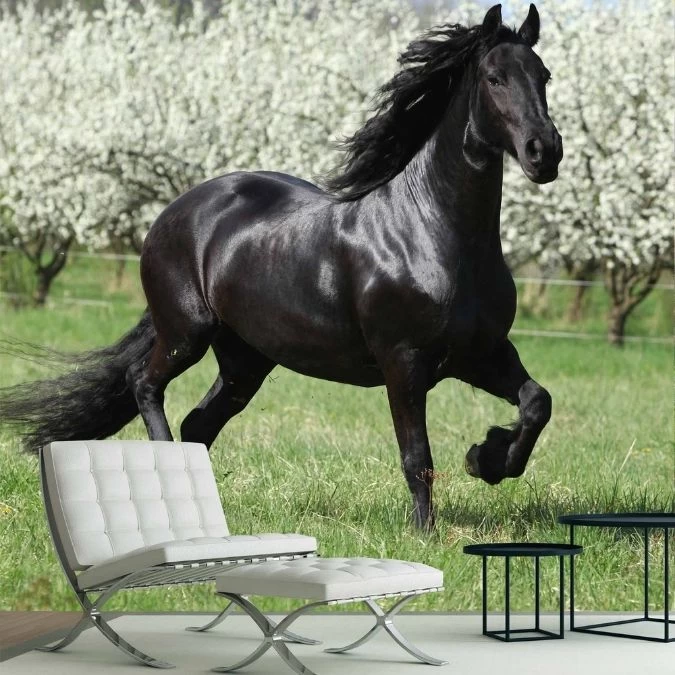 Black Horse Wallpaper 1 Black Horse Wallpaper