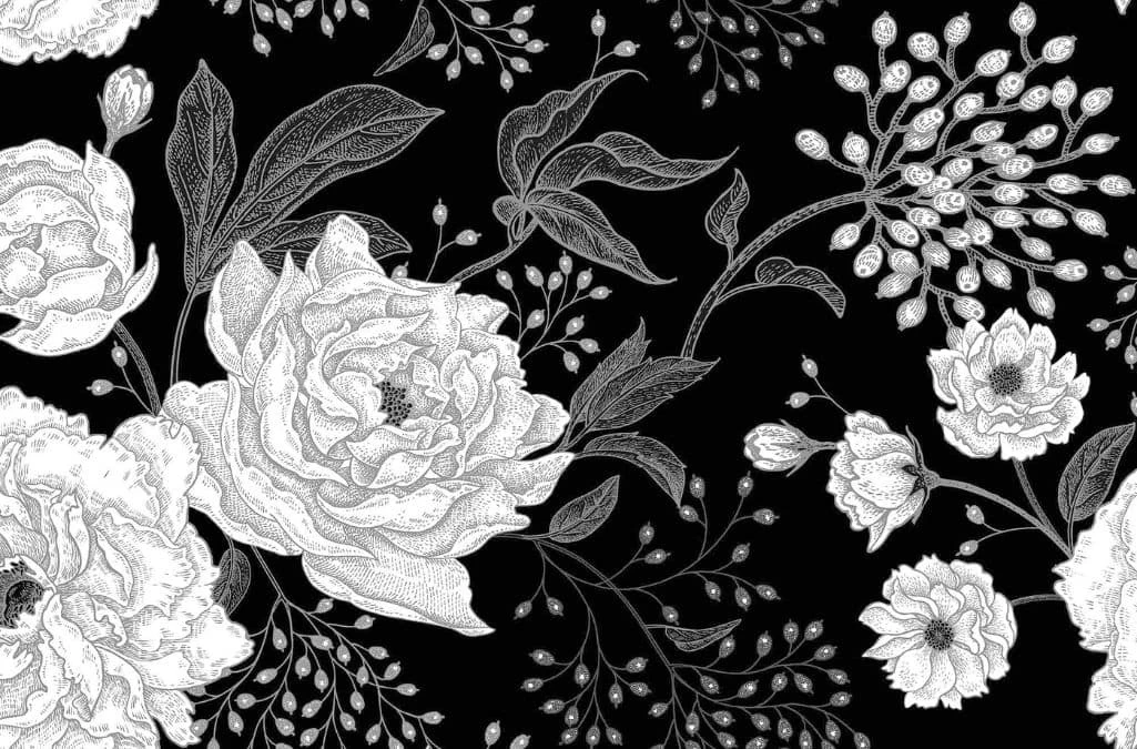 Black Peony Wallpaper 2 Black Peony Wallpaper - Image 2