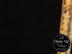 Black And Bronze Marble Wallpaper -Wallpaper Mural Shop Black and Bronze Marble Wallpaper Closeup About Murals