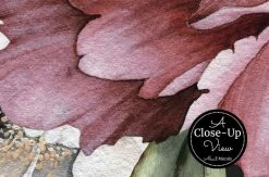 Black And Pink Floral Wallpaper 8 Black And Pink Floral Wallpaper -Wallpaper Mural Shop Black and Pink Floral Wallpaper Close Up About Murals