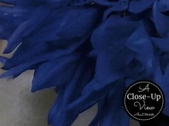 Black And Pink Rose Wallpaper 6 Black And Pink Rose Wallpaper -Wallpaper Mural Shop Black and Pink Rose Wallpaper Close up About Murals