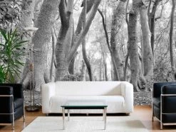 Black And White African Forest Wallpaper