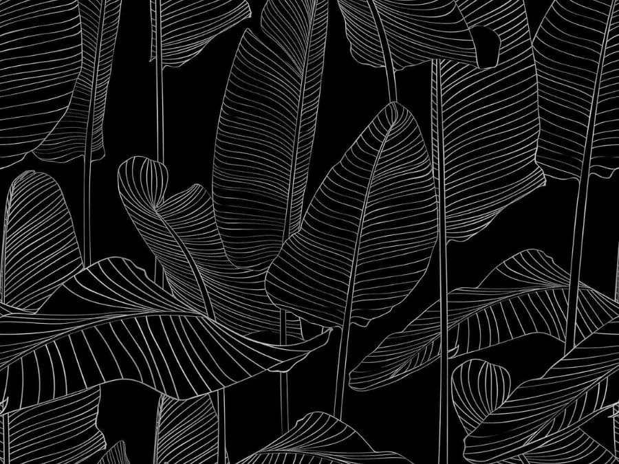 Black And White Banana Leaf Wallpaper 2 Black And White Banana Leaf Wallpaper - Image 2