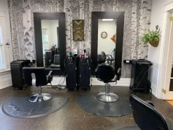 Black And White Birch Tree Wallpaper -Wallpaper Mural Shop Black and White Birch Tree Wallpaper Salon About Murals