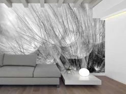 Black And White Dandelion Wallpaper