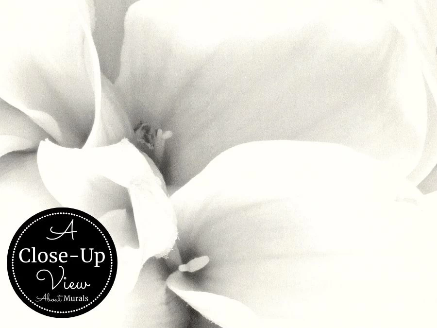 Black And White Flower Wallpaper 3 Black And White Flower Wallpaper - Image 3