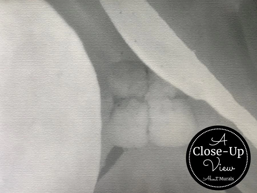 Black And White Hydrangea Wallpaper 3 Black And White Hydrangea Wallpaper - Image 3